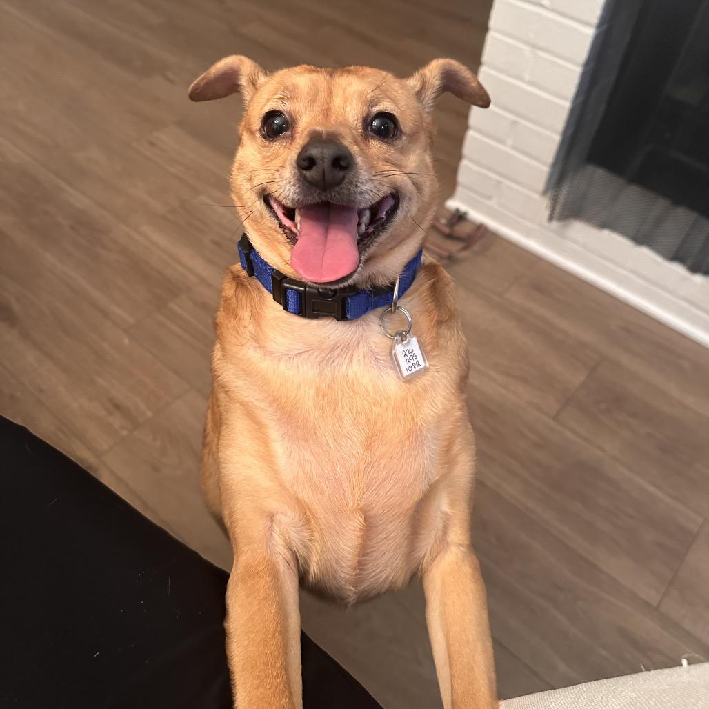 Samara — thumbnail 6