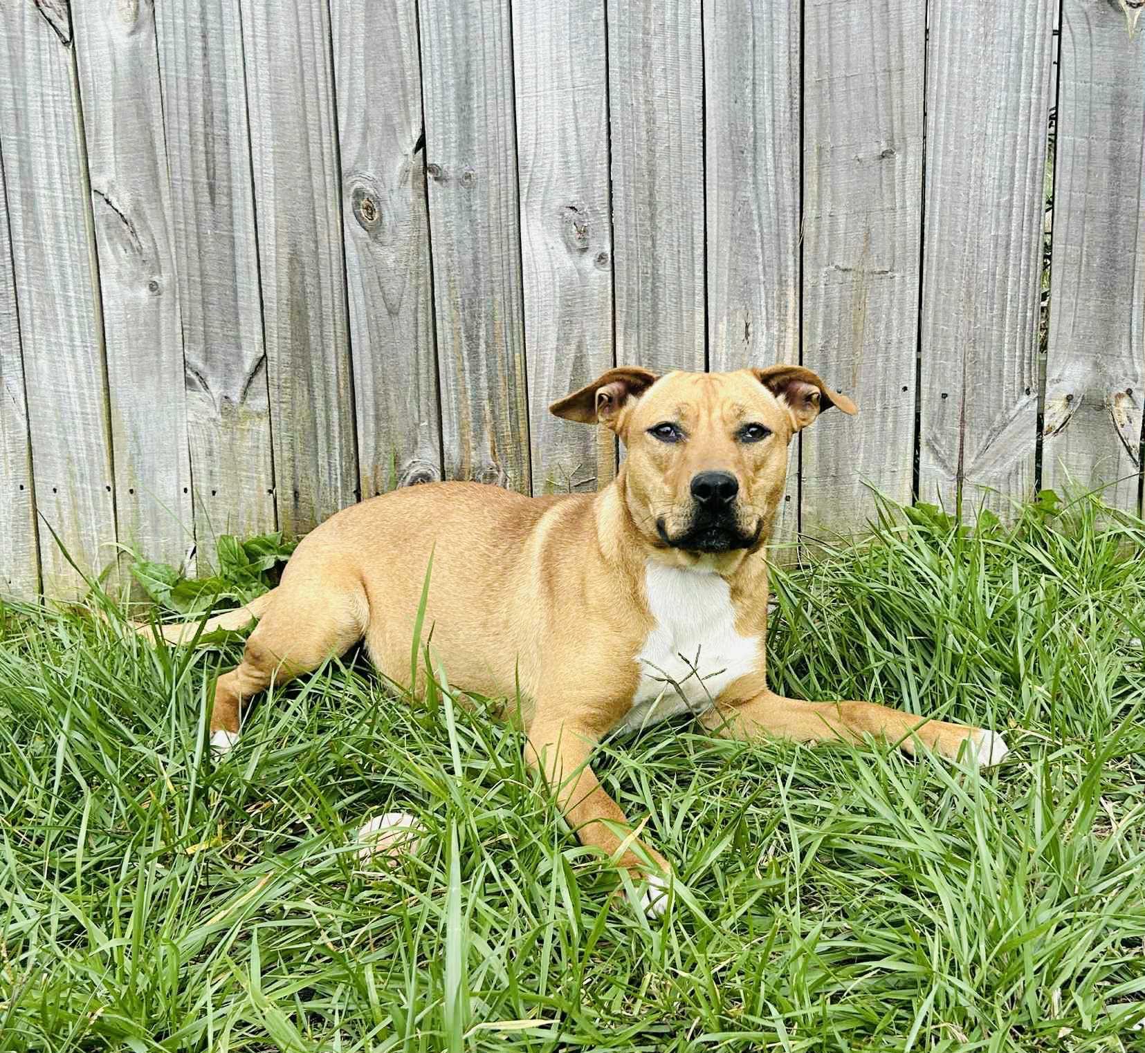 Zelda (20251101-04) — thumbnail 3