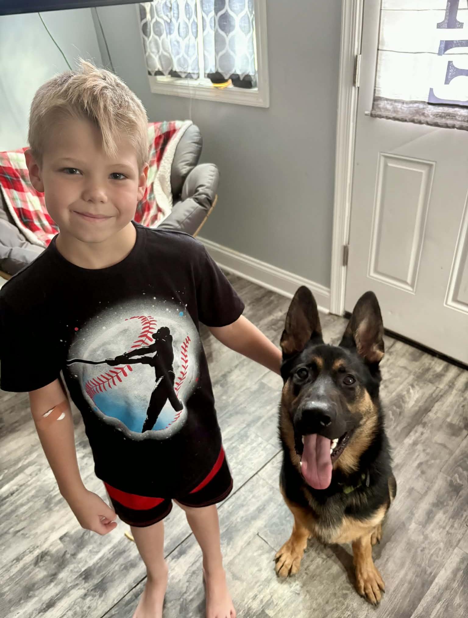 Enlarge Gunner (courtesy post), an adoptable mixed breed in Ellicott City, MD image 2/4