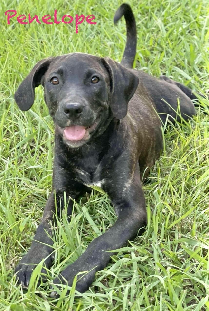 Penelope photo 5