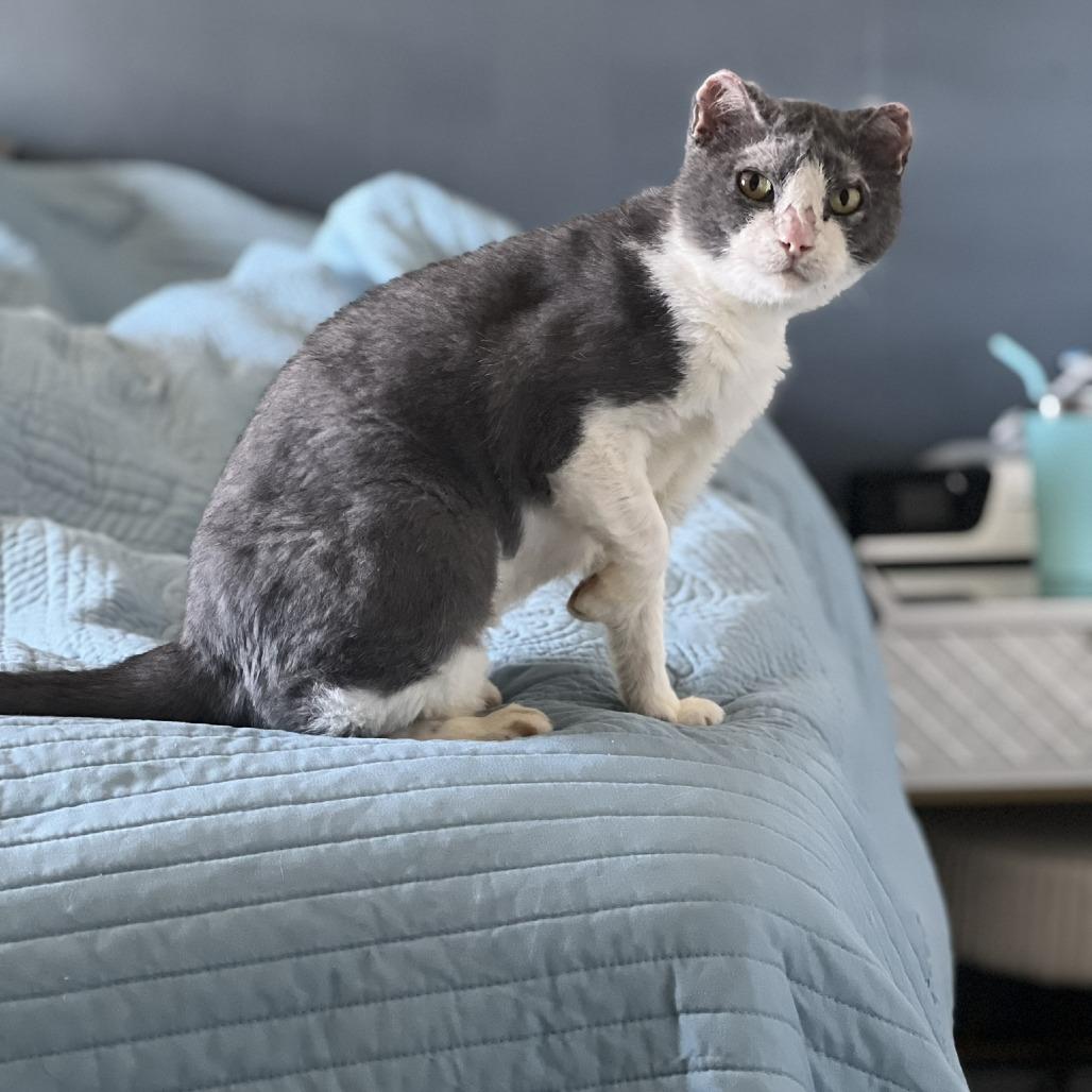 Mitty — thumbnail 3