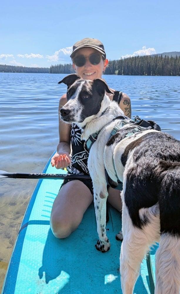 Enlarge Maya, an adopted mixed breed in Bellingham, WA image 3/4