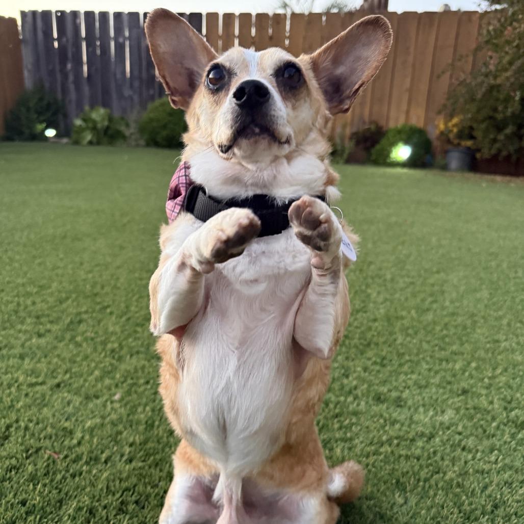 Zeus — thumbnail 3