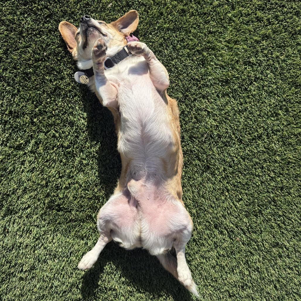 Zeus — thumbnail 4