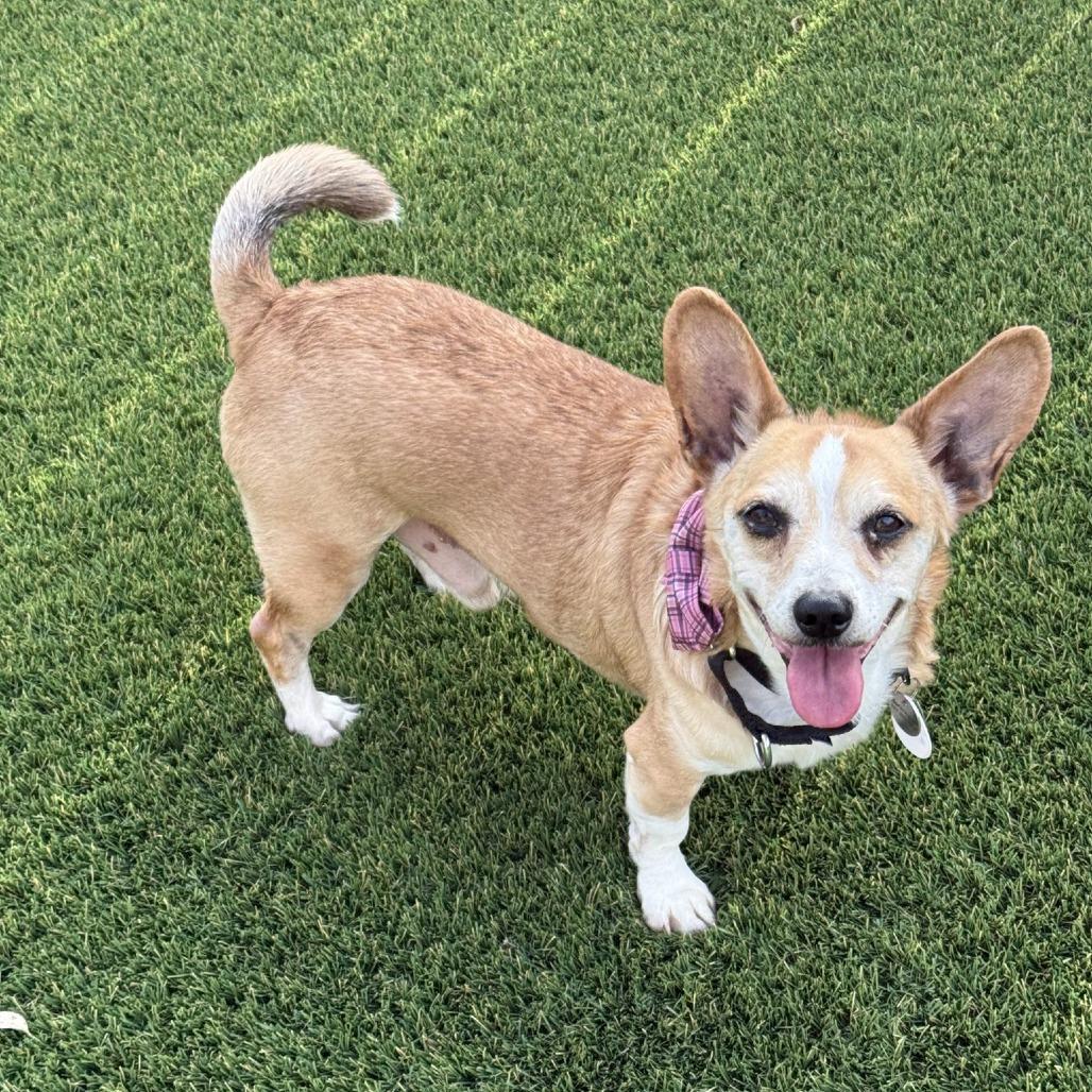 Zeus — thumbnail 5