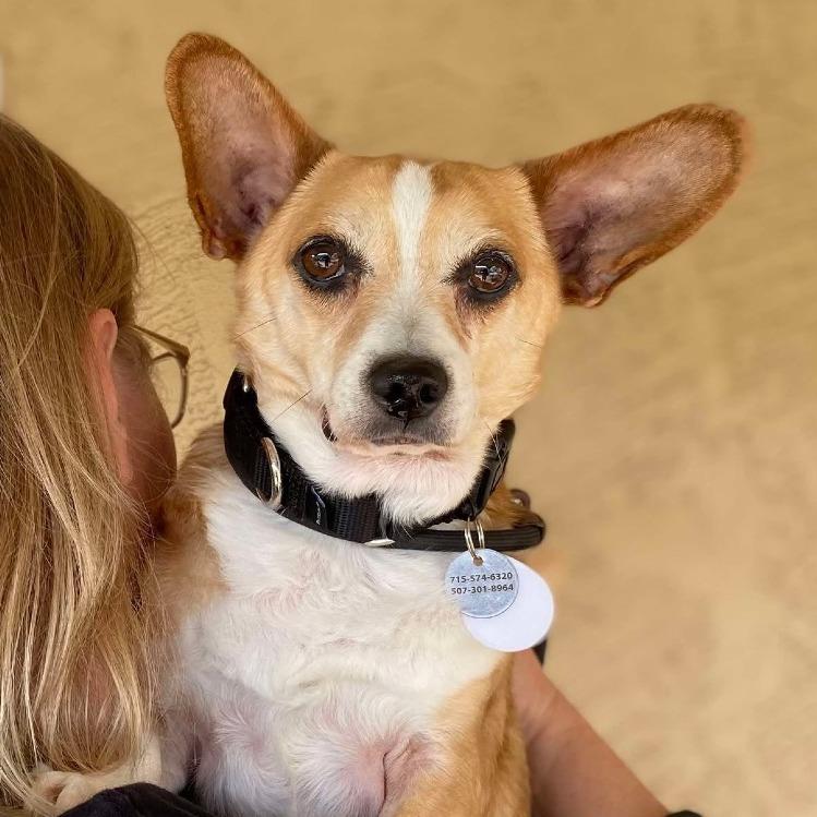 Zeus — thumbnail 6