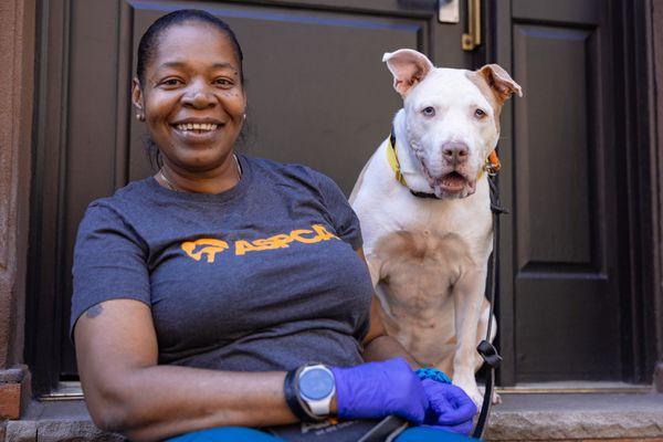 Suzie Q, a Adoptable Mixed Breed in New York, NY image 3/3