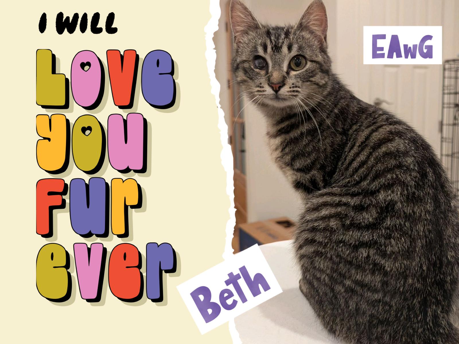 Enlarge Beth, a Adoptable mixed breed in Pensacola, FL image 1/1