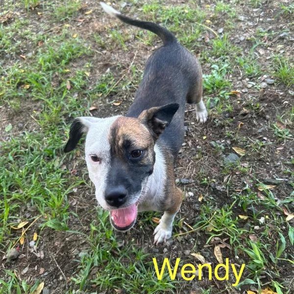 Wendy