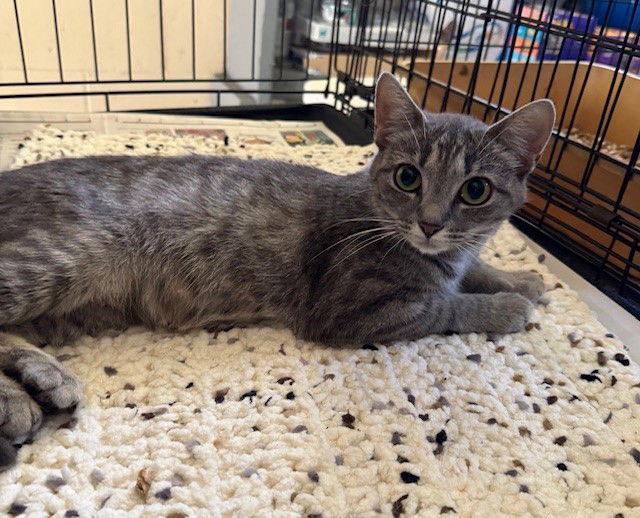 Meridith — thumbnail 2