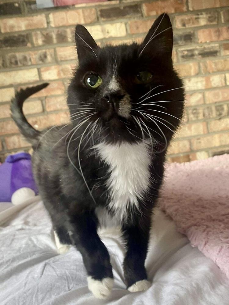 Boots — thumbnail 2