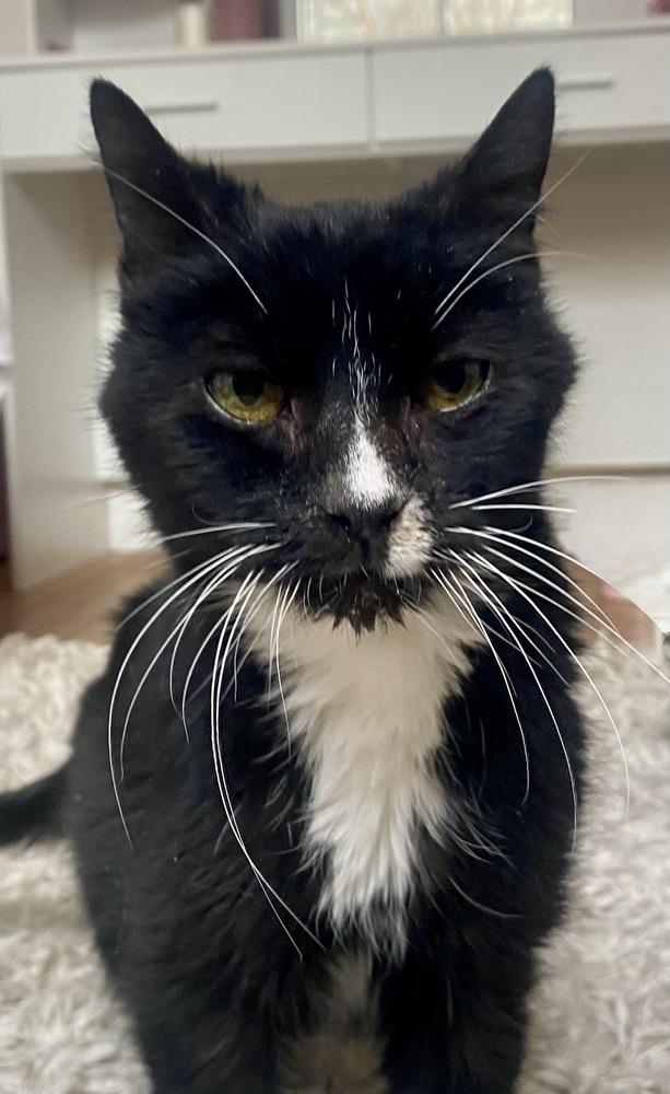 Boots — thumbnail 3