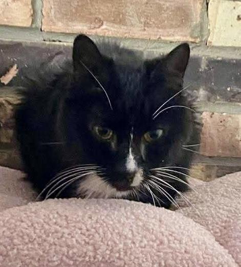 Boots — thumbnail 4