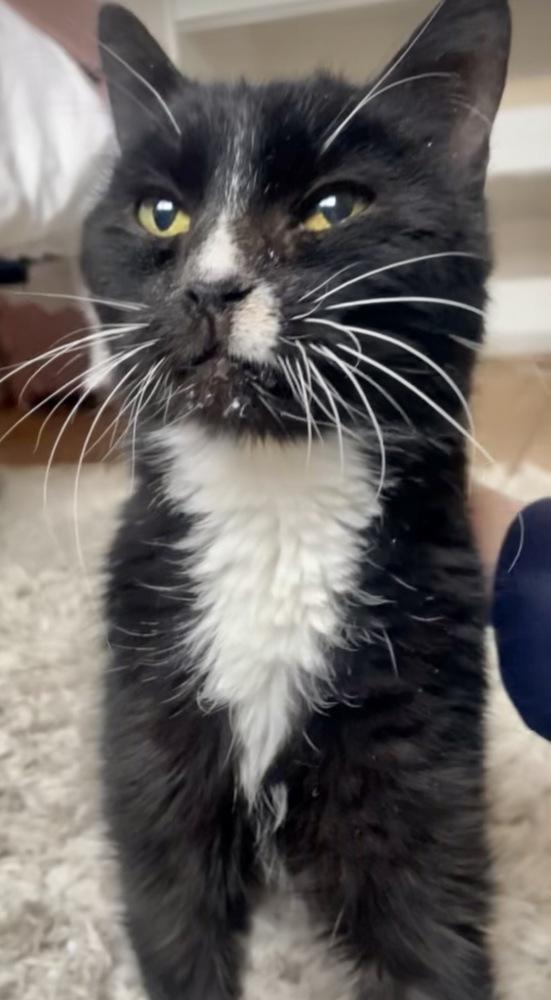 Boots — thumbnail 5