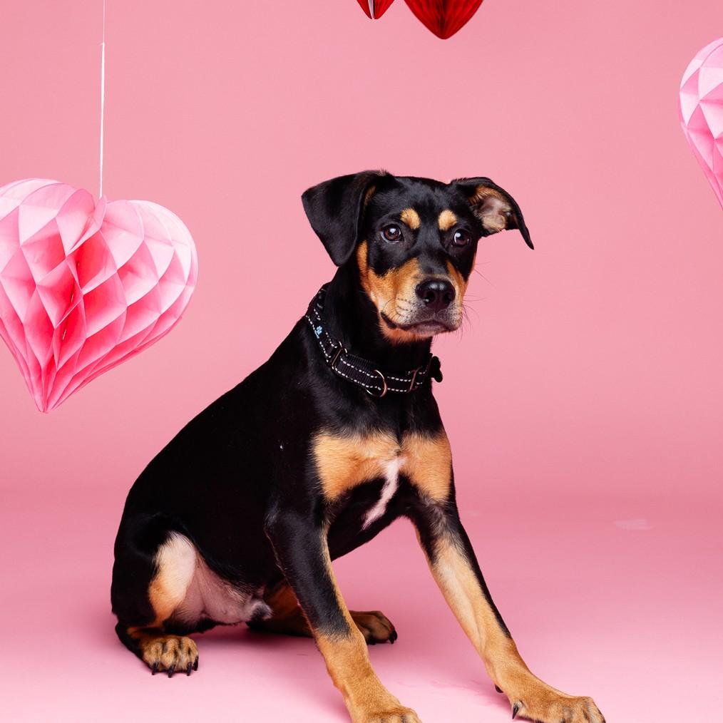 Trick — thumbnail 6