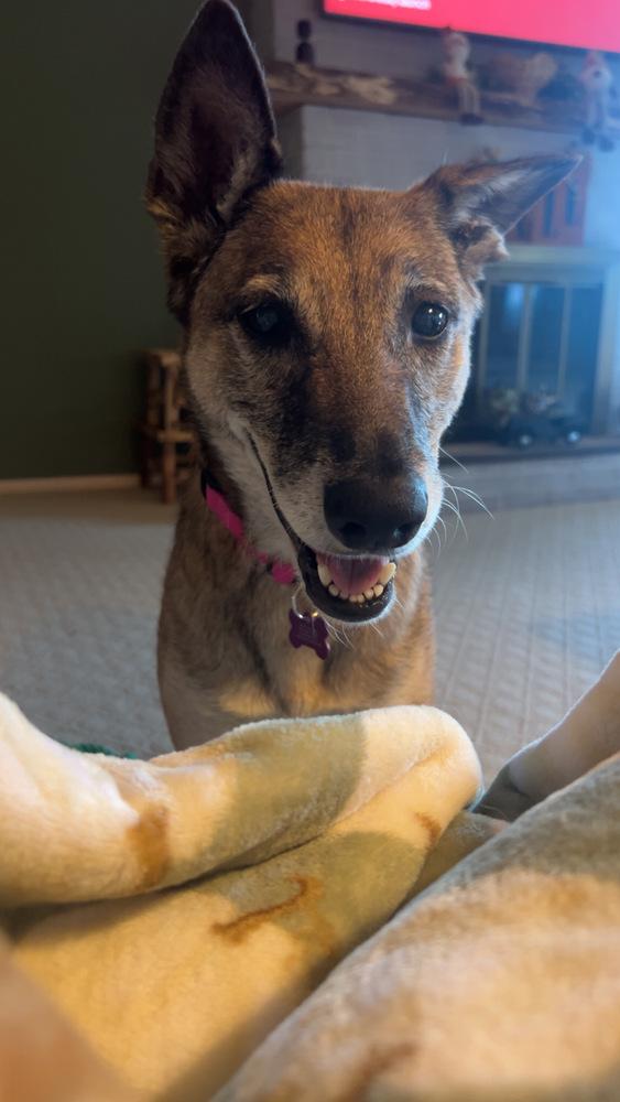 Celia - Located in PA photo