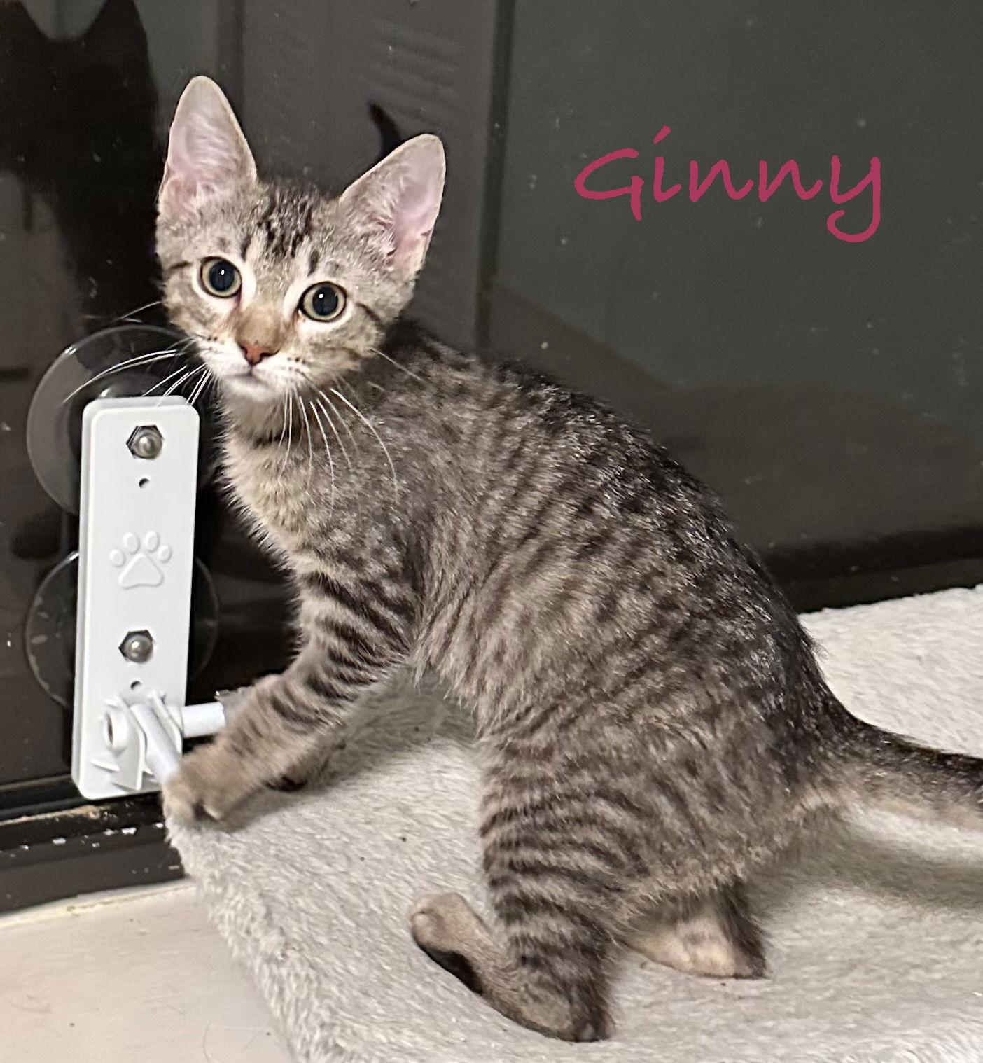 Ginny — thumbnail 2