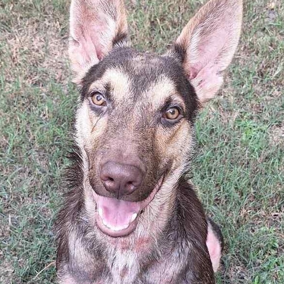 Max