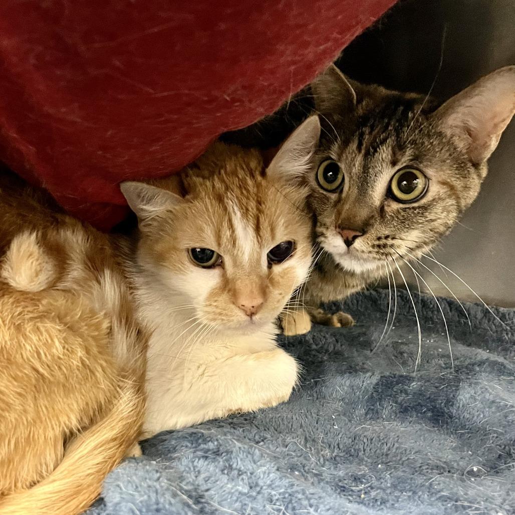 Meemaw — thumbnail 3