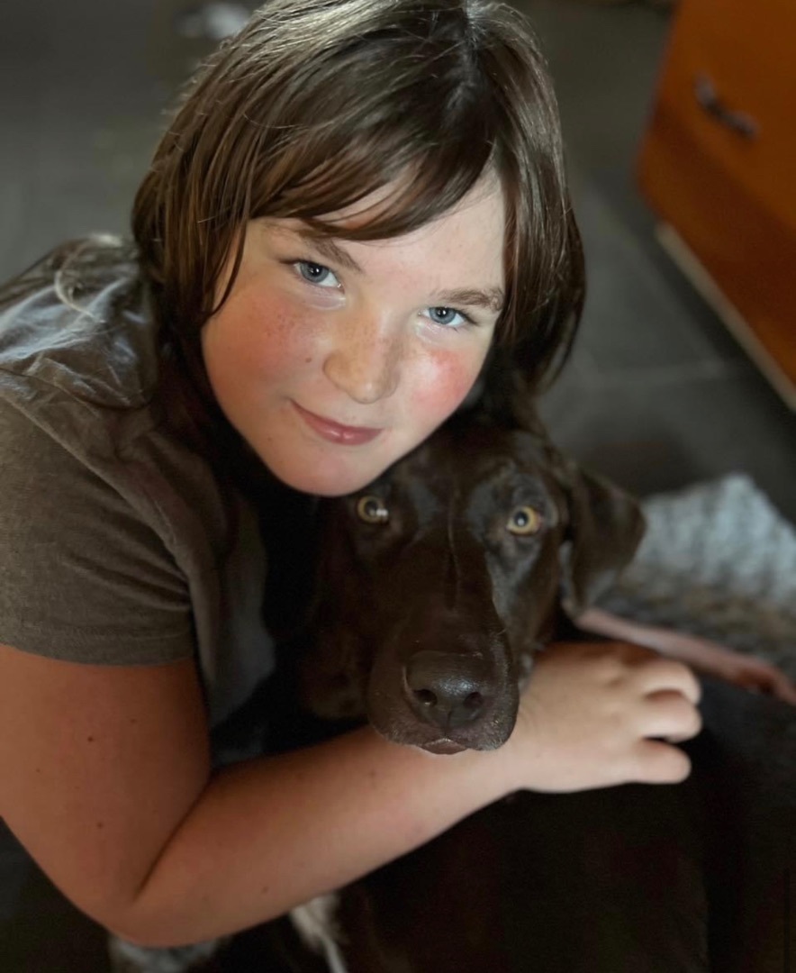 Chloe, Adopted, Young Female Chocolate Labrador Retriever.