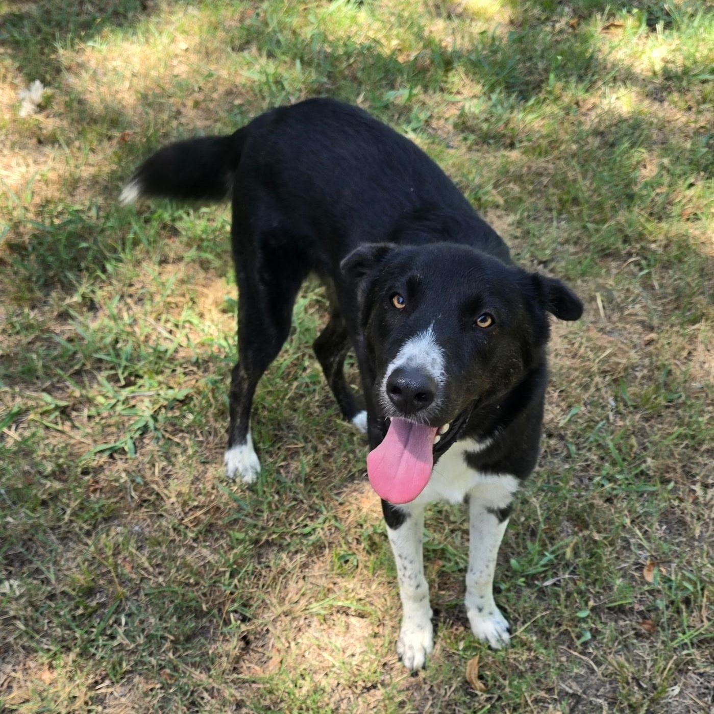 Leroy