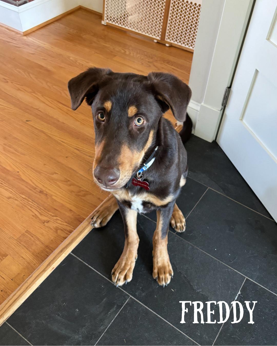 Fred