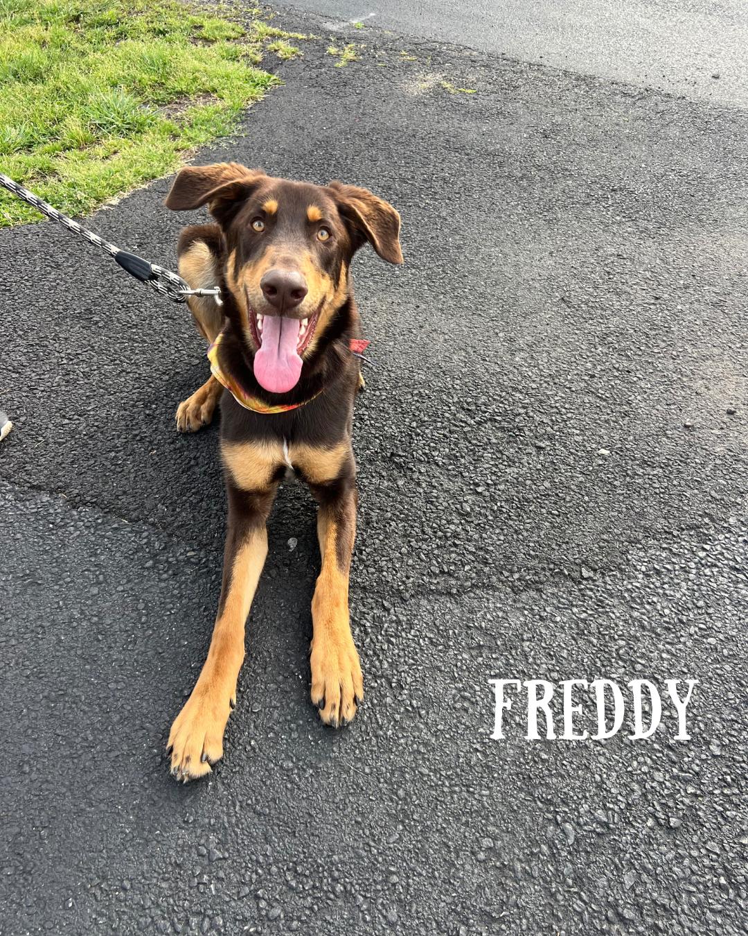 Fred