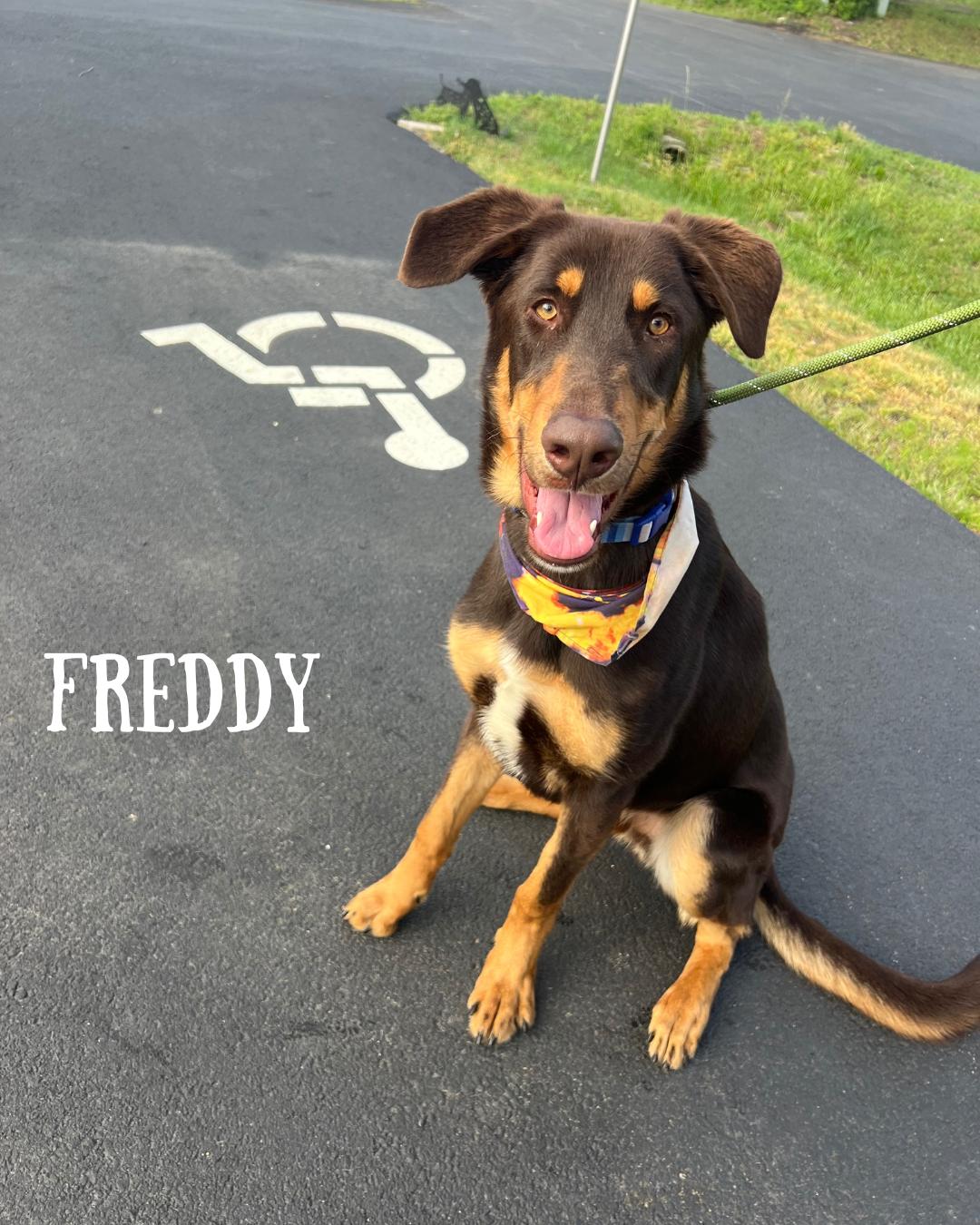 Fred