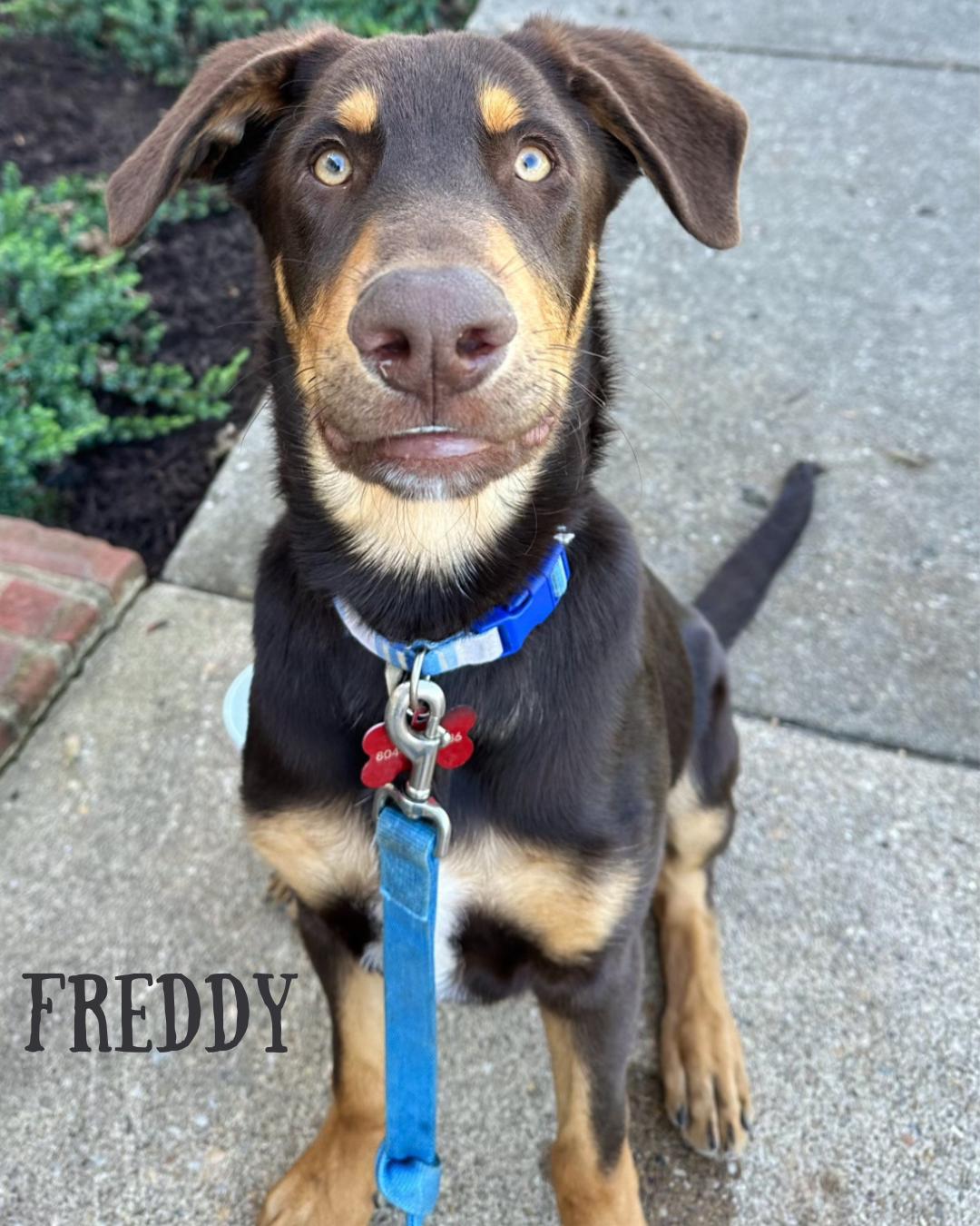 Fred