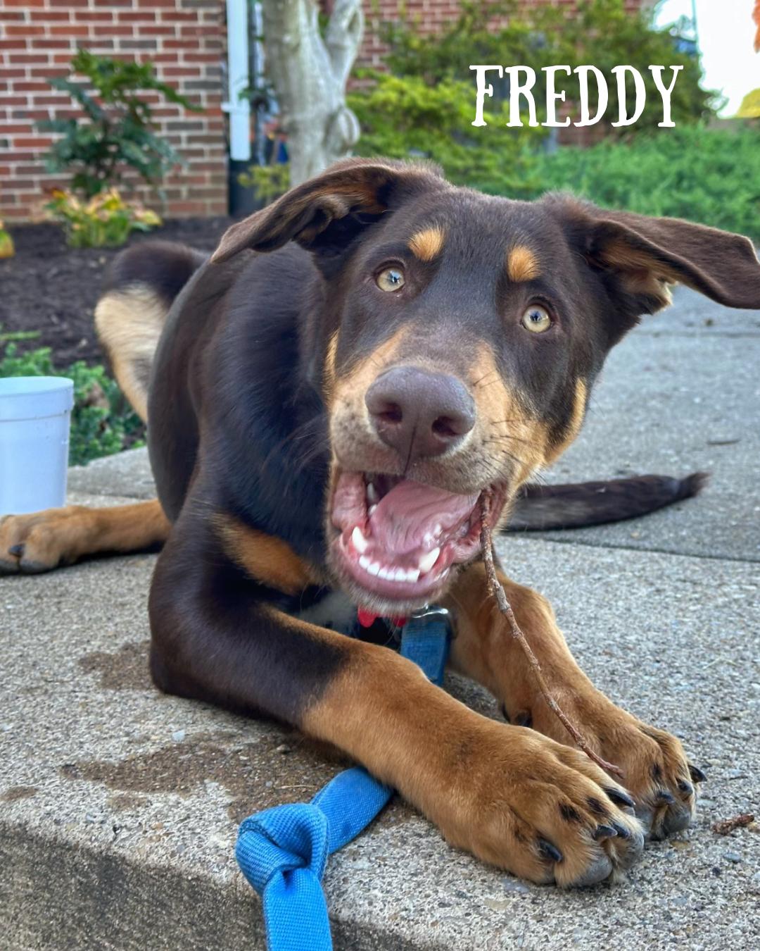 Fred