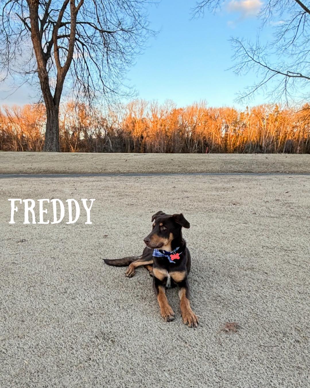 Fred