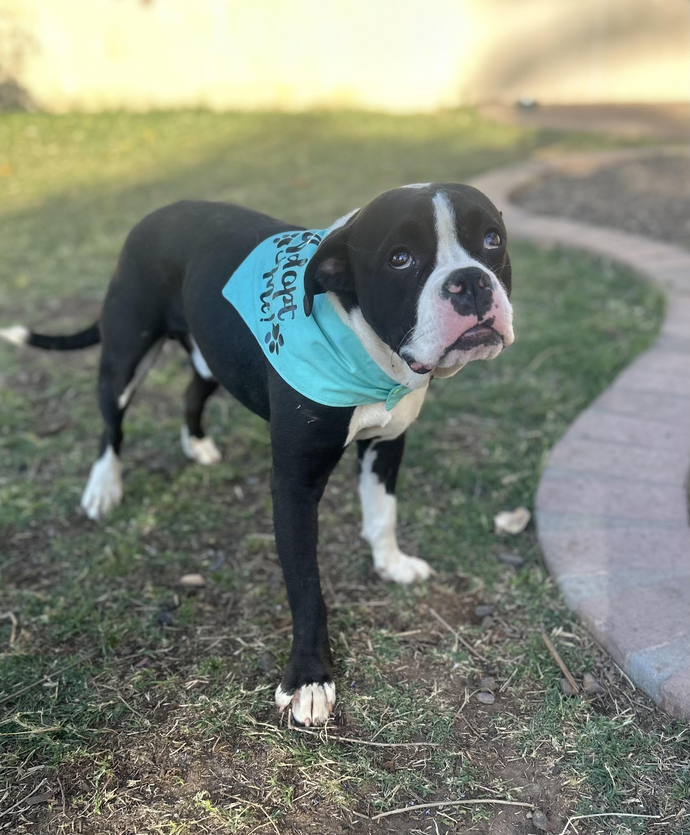 Zuzu