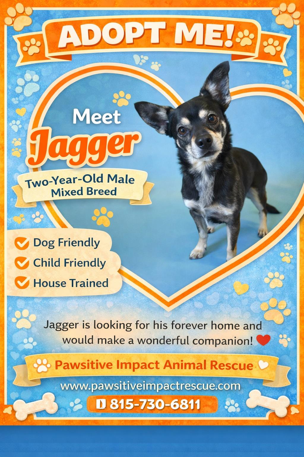 Enlarge Jagger , a ADOPTABLE mixed breed in Joliet, IL image 3/3
