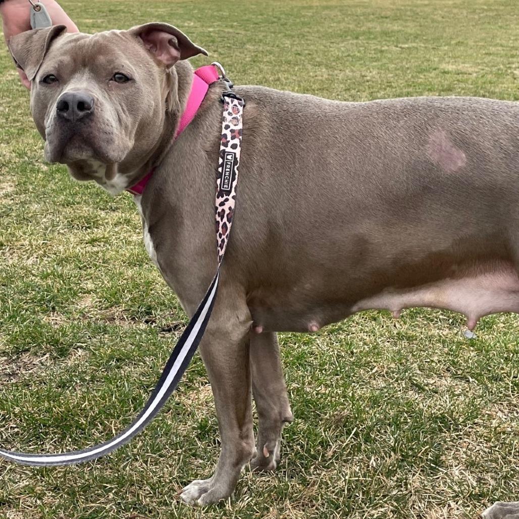 Skyrim — thumbnail 2