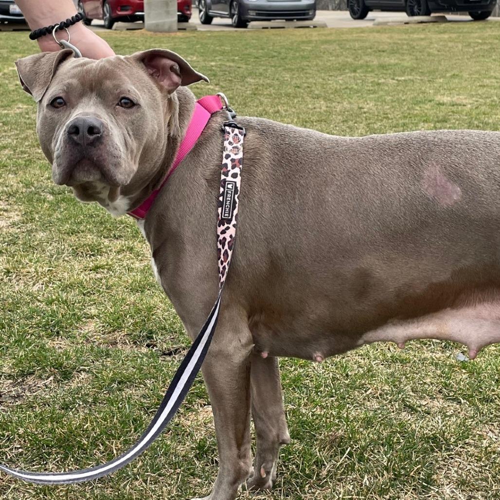 Skyrim — thumbnail 3