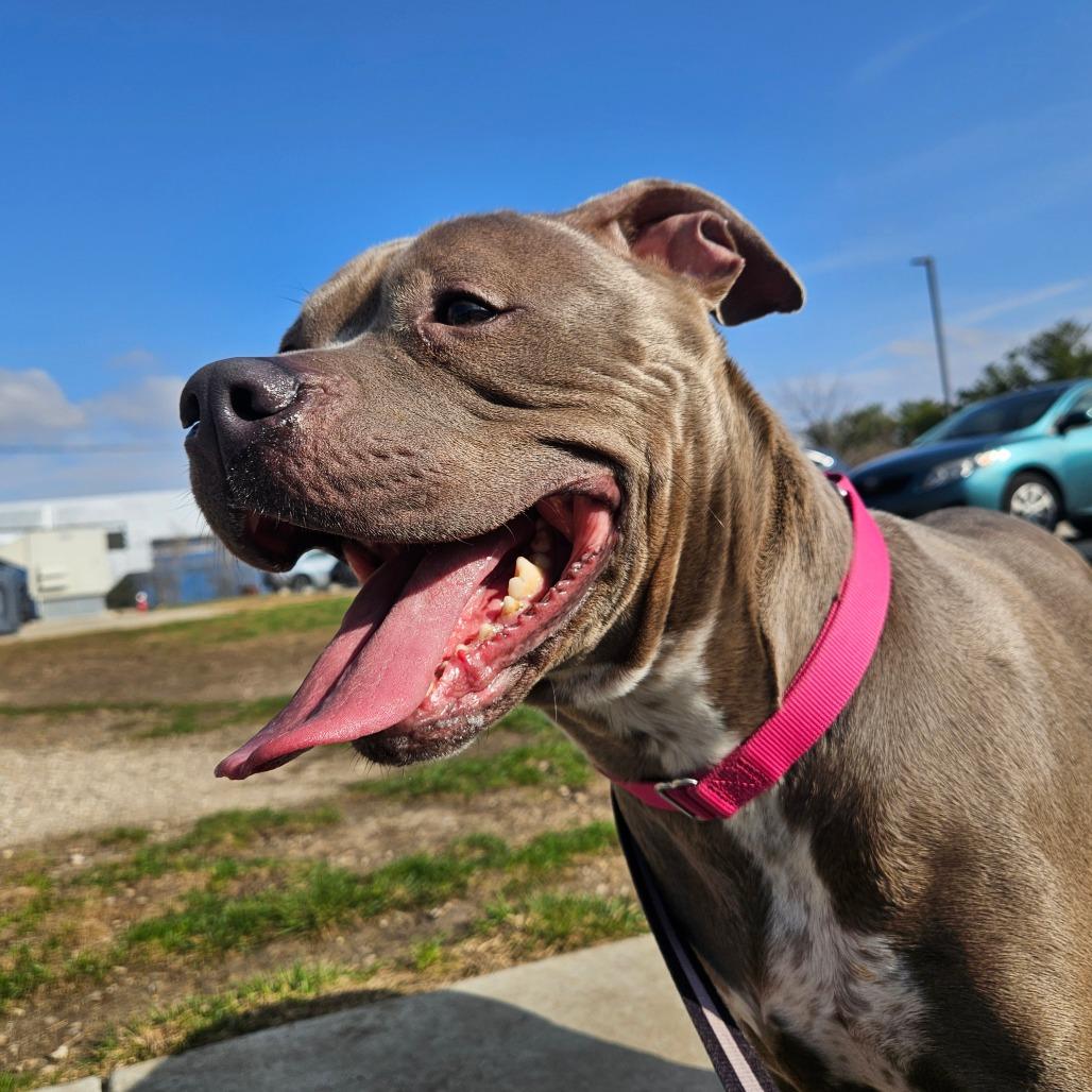 Skyrim — thumbnail 5