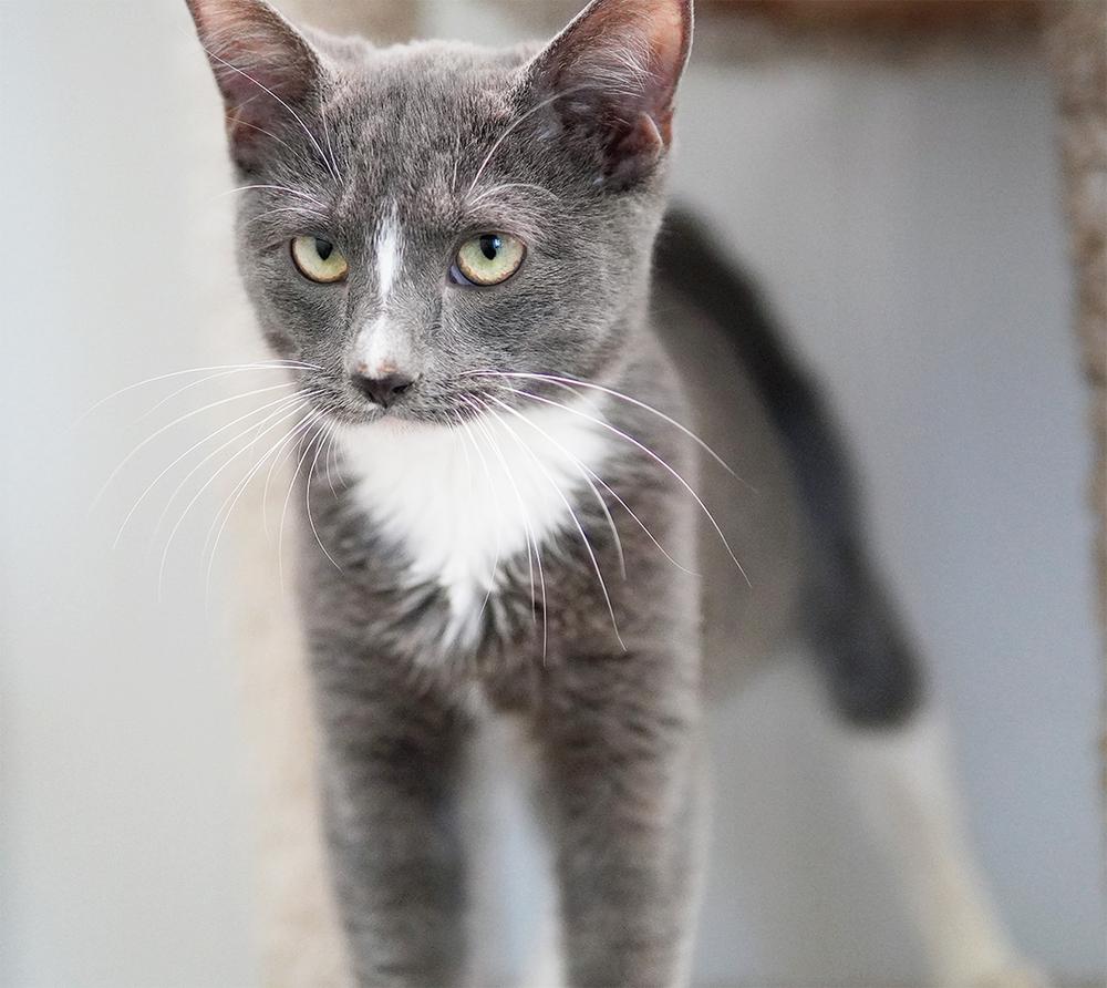 Carolina — thumbnail 3