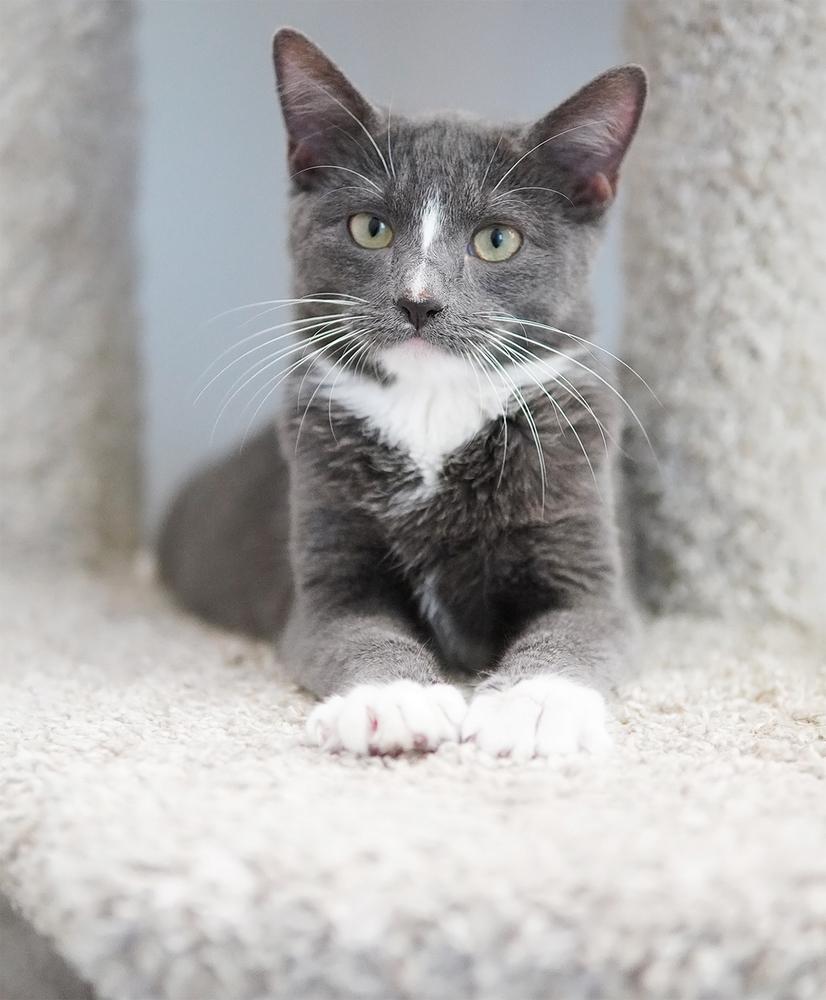 Carolina — thumbnail 4