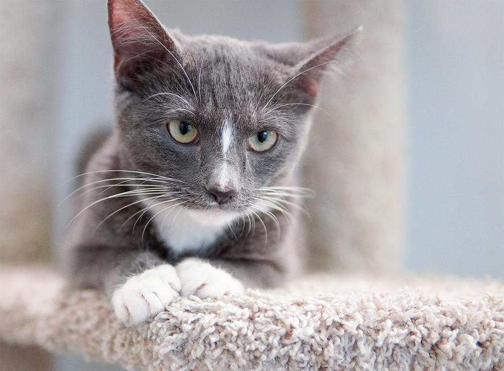 Carolina — thumbnail 5