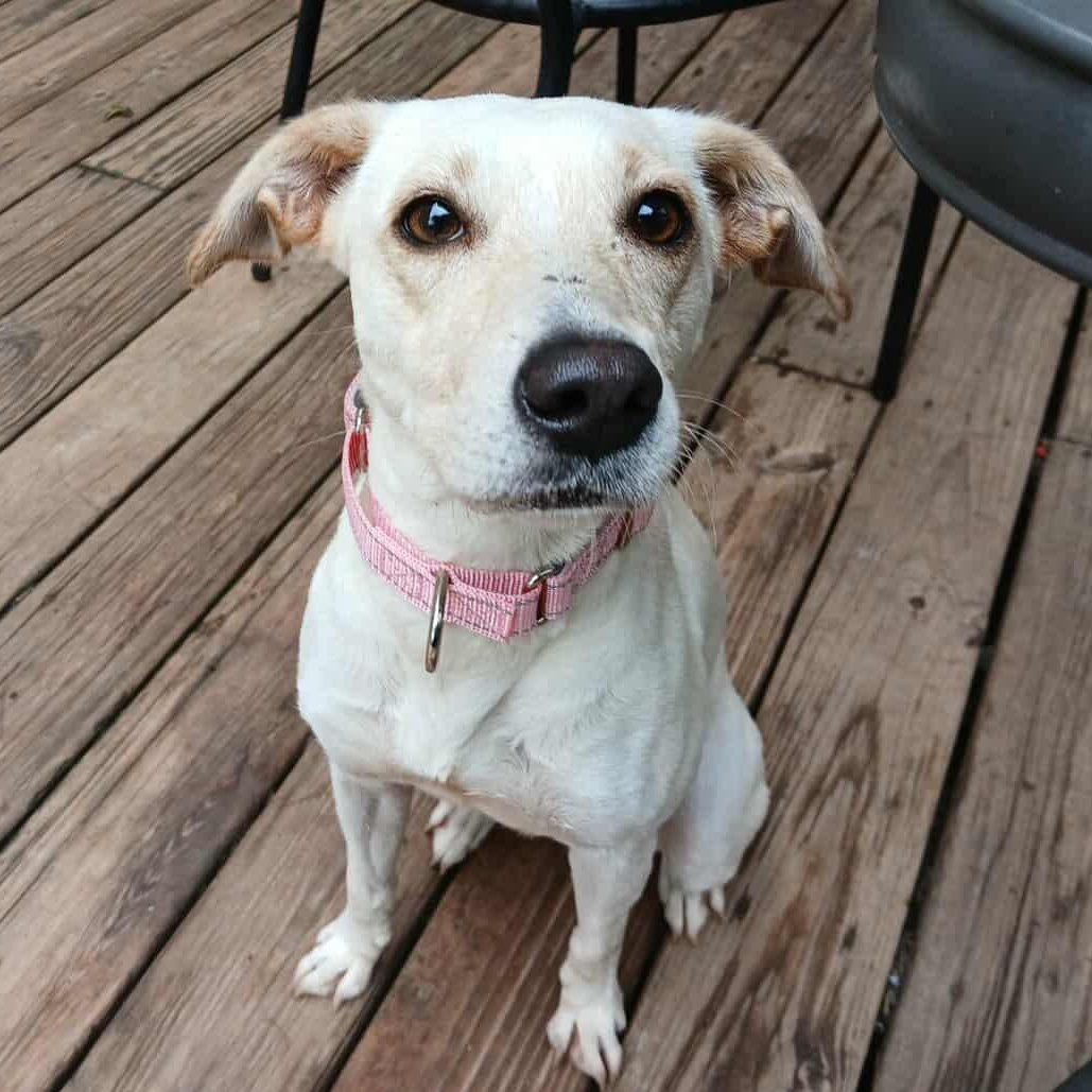 Sally