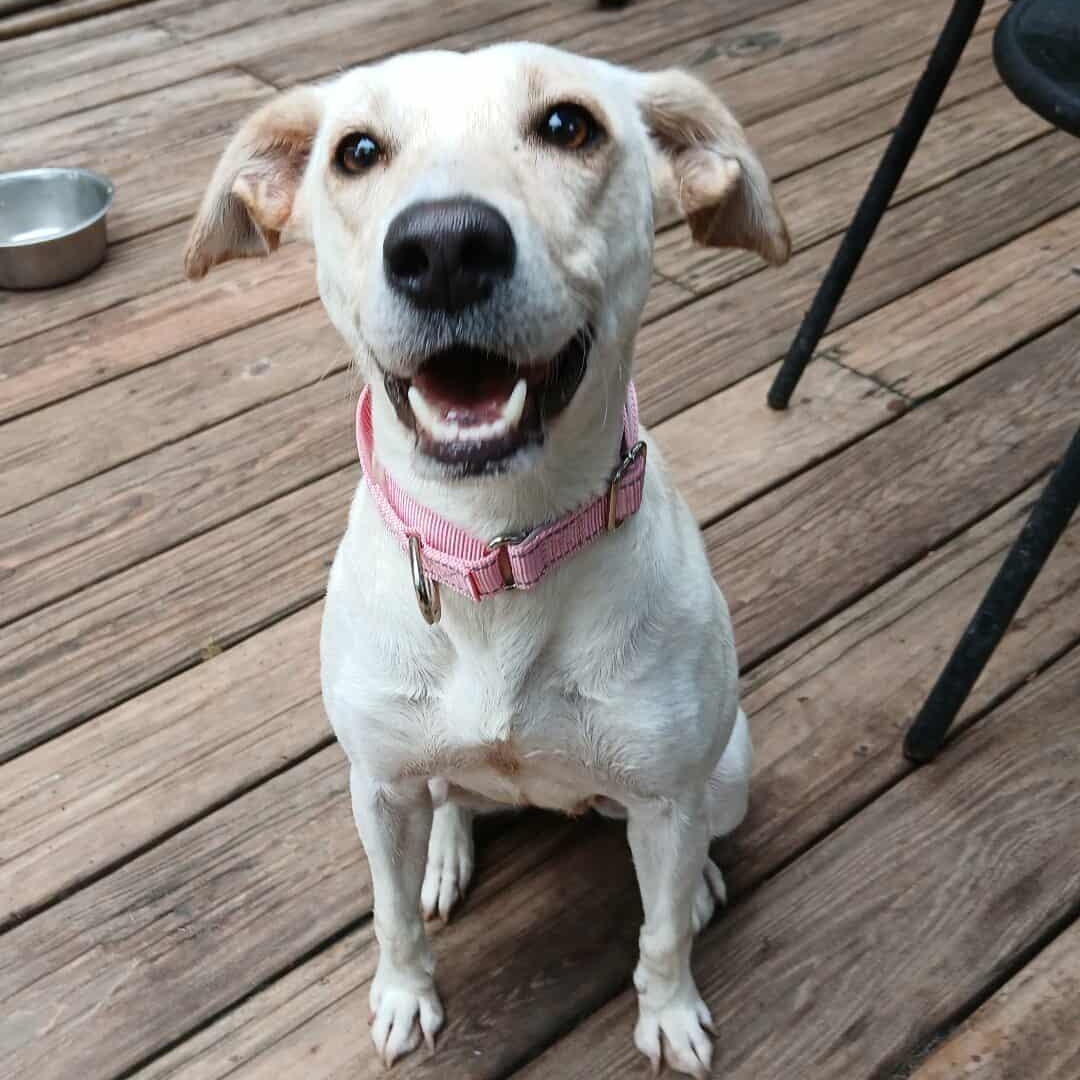 Sally