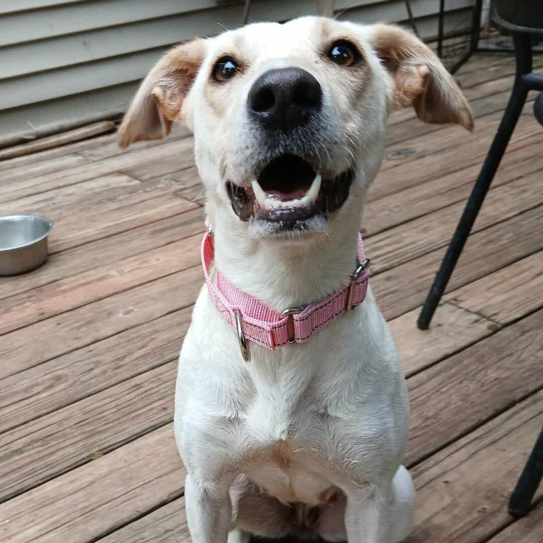 Sally