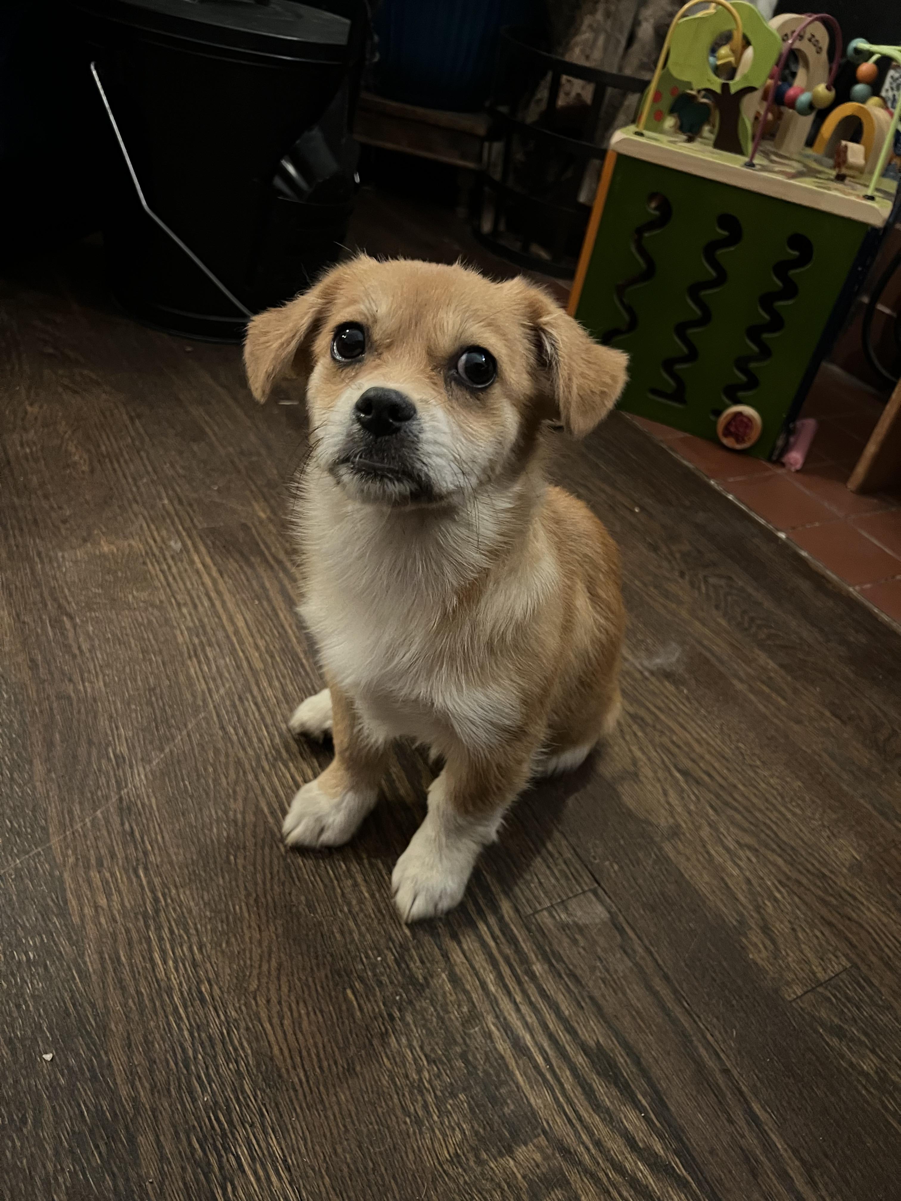 Taffy