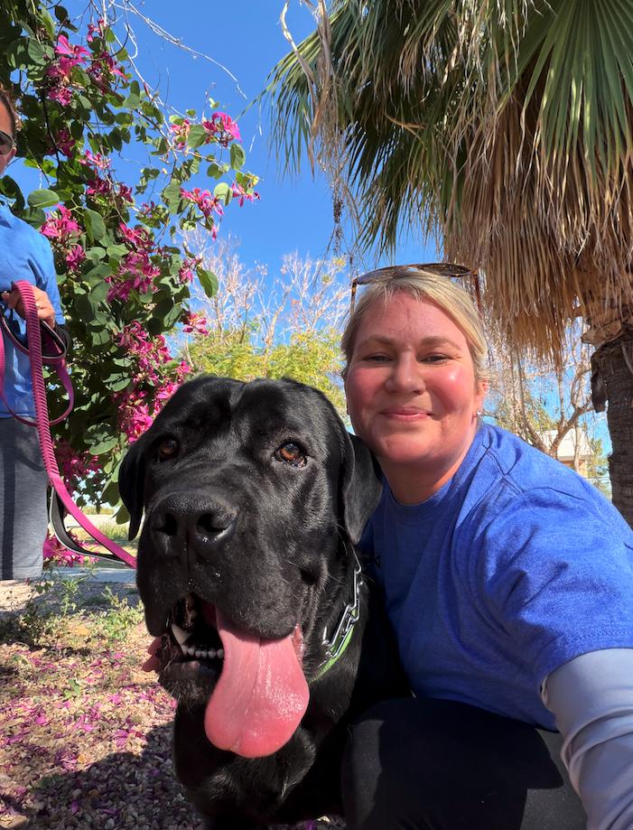 Enlarge Appa - ADOPTED, a Adopted Cane Corso in Glendale, AZ image 3/3