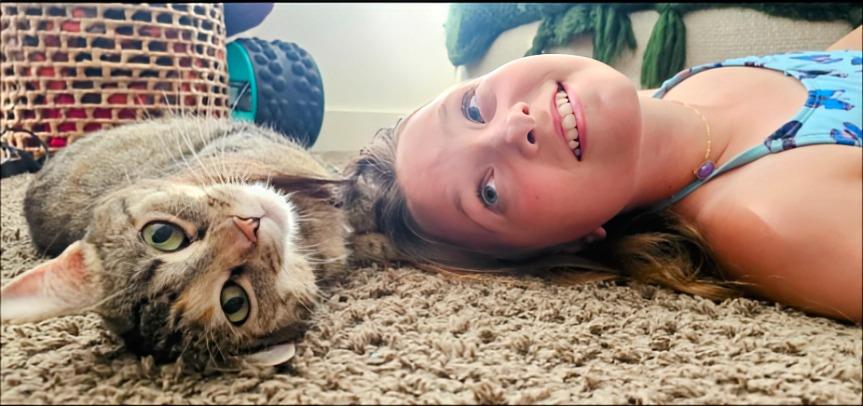 HEMI, Adoptable, Adult Female Domestic Short Hair.