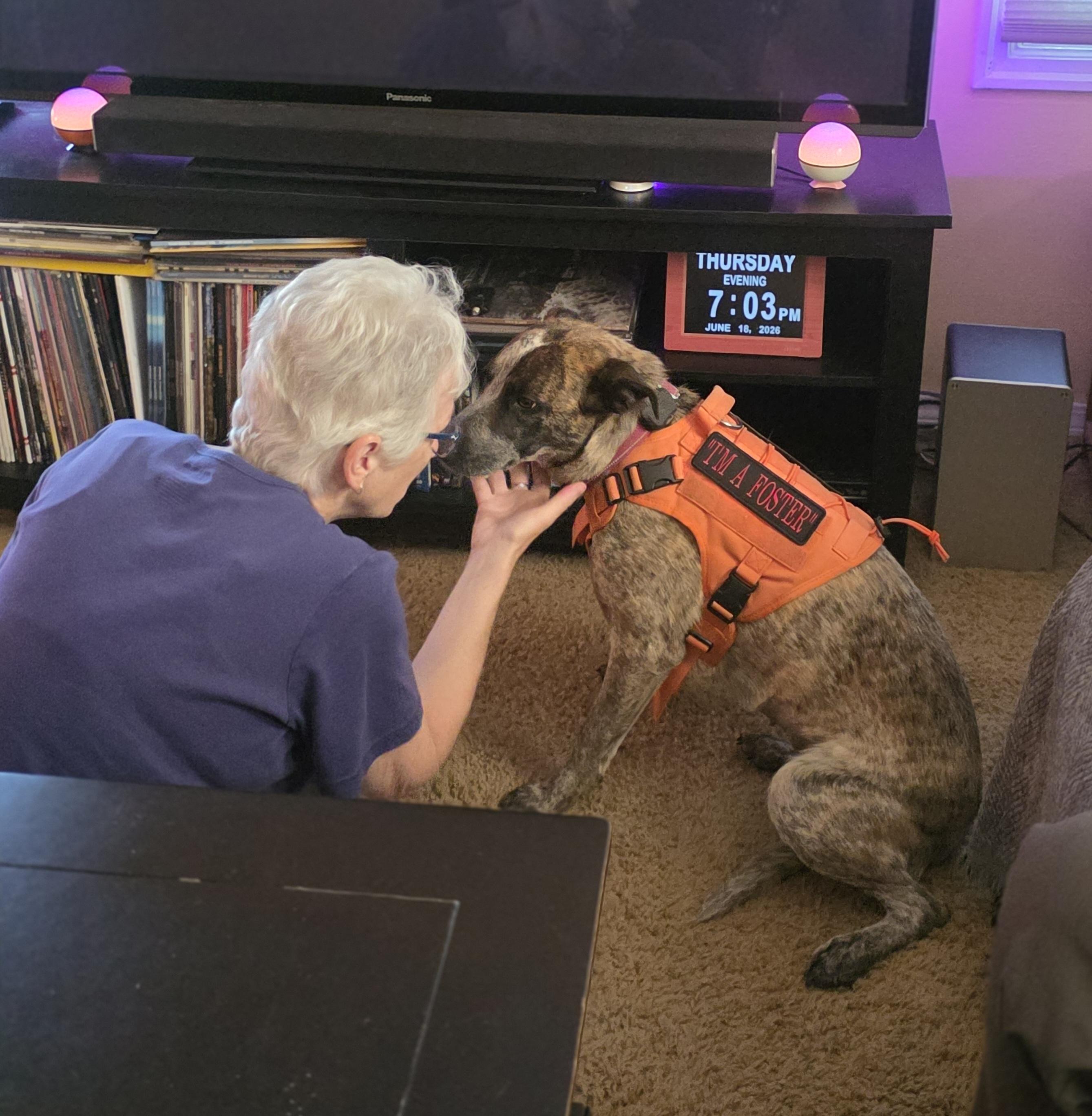 Thelma, a Adoptable mixed breed in Elk, WA image 3/6
