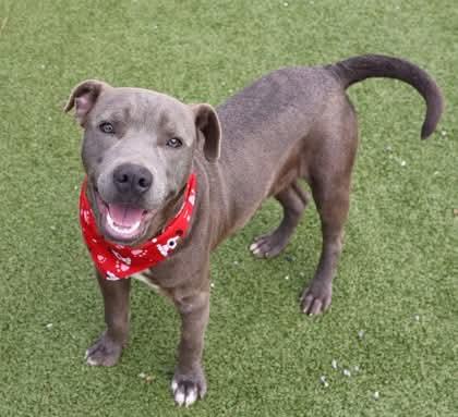 Coop Athens thumbnail 3