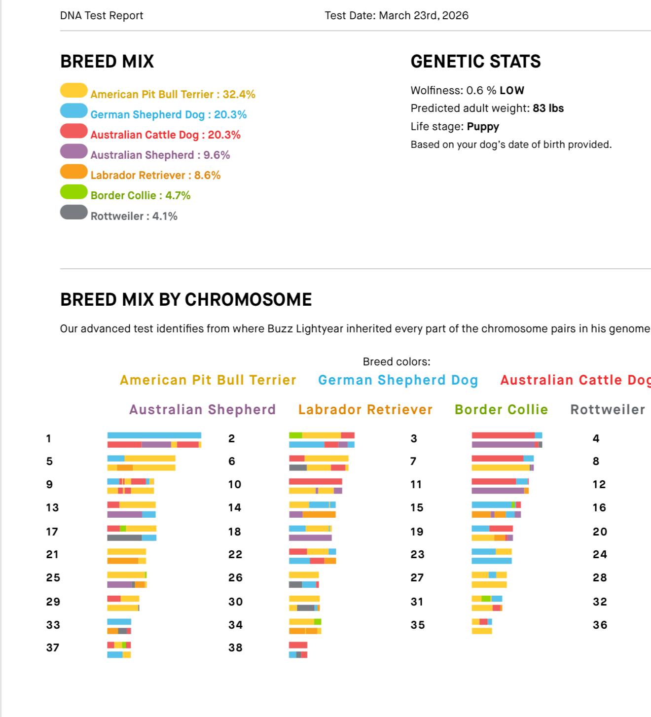 Enlarge Boo, a Adoptable mixed breed in Buffalo, NY image 5/5