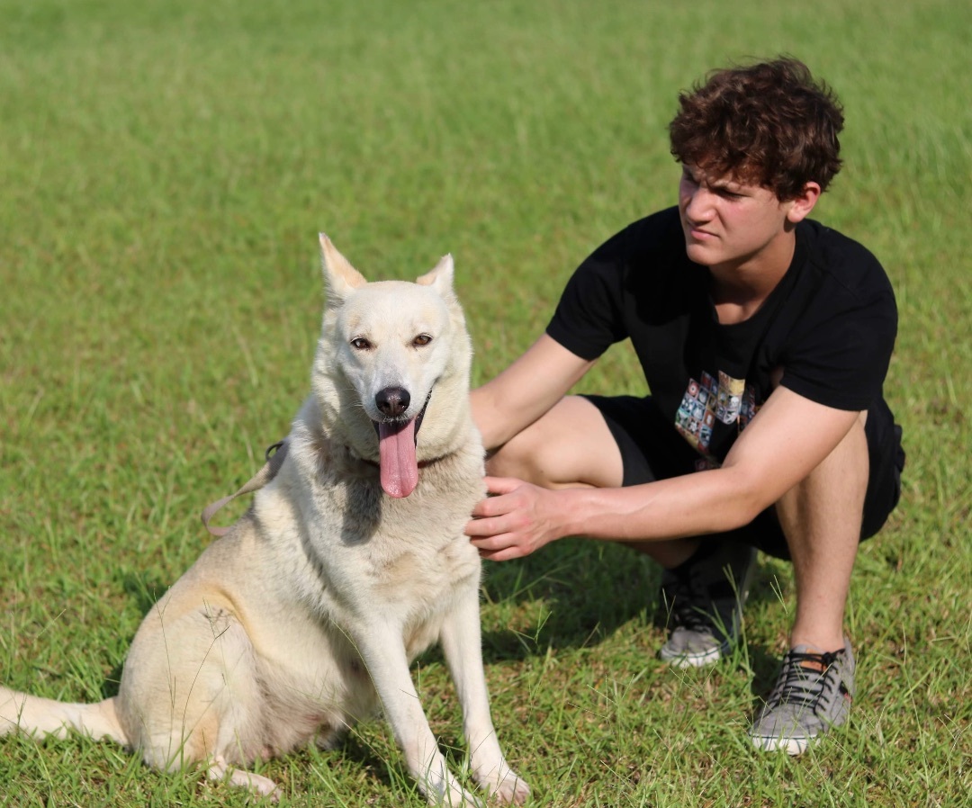 Hazel , a Adoptable mixed breed in Salisbury, NC image 2/5
