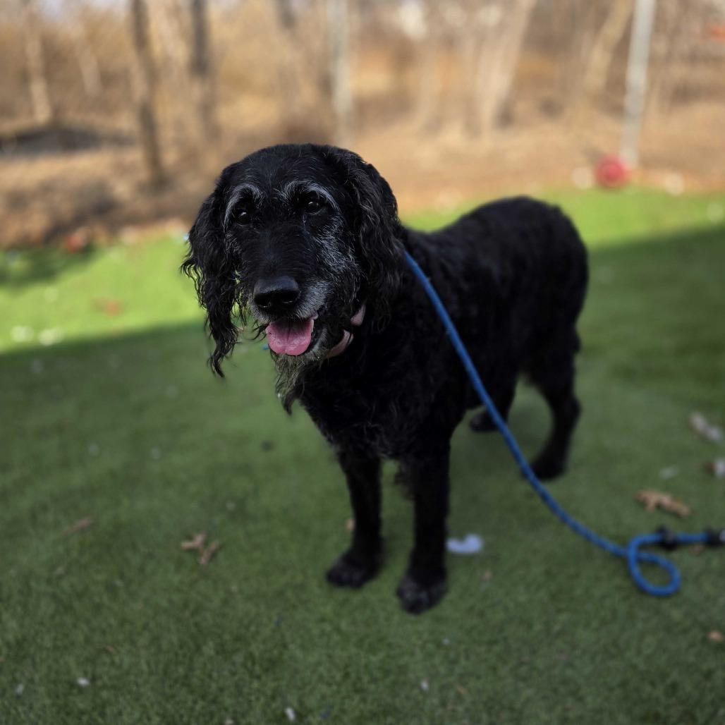 Lizzy — thumbnail 2